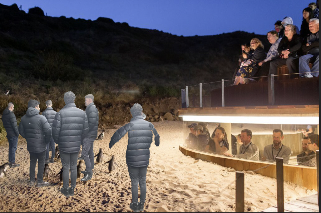 Melbourne Boys Congregating On Phillip Island Beach Mistaken As Part Of ...