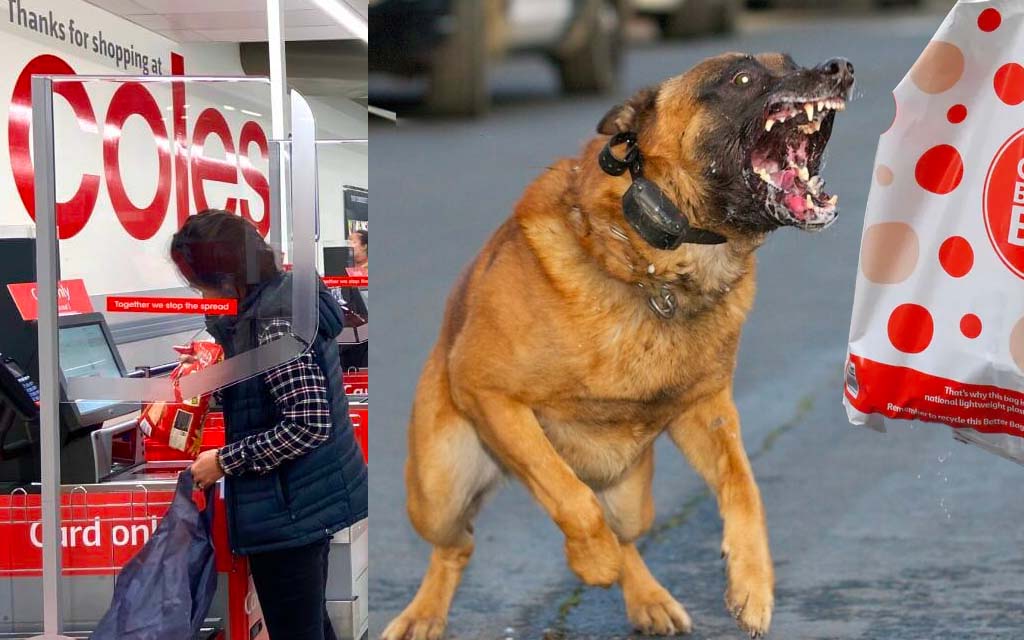 Coles Introduce Attack Dogs To Tackle Shoplifting Caused By Breaking Human  Spirit With Automation — The Betoota Advocate
